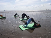 Yoga im Watt vor Harlesiel 09-06-2019 - 10 Jahre Weltnaturerbe Wattenmeer